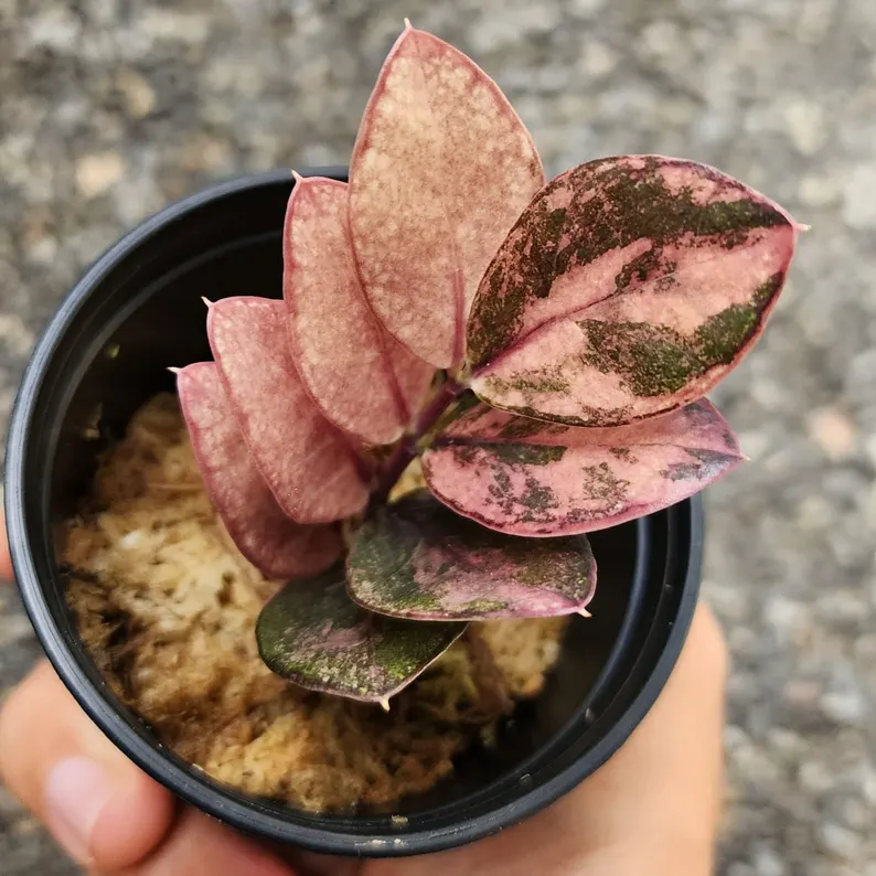 Bendable & Stackable